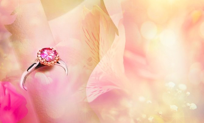 BROCHES DE </br>  BIJOUX